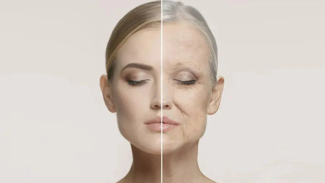 有一種老,叫炎性衰老(Inflamm-Aging)